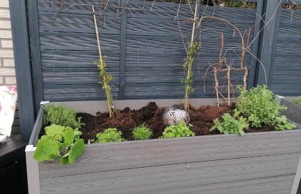 Ferienwohnung S+F Bokermann - Foto 9