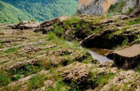 Les Coquelicots - Foto 10