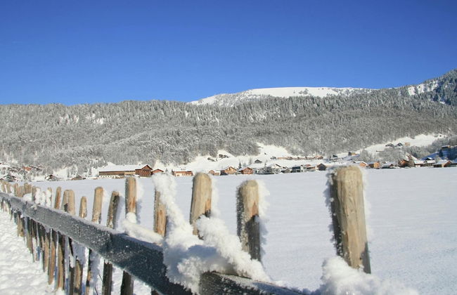 Chalet in Sibratsgfall Near Ski Slopes - Photo 14