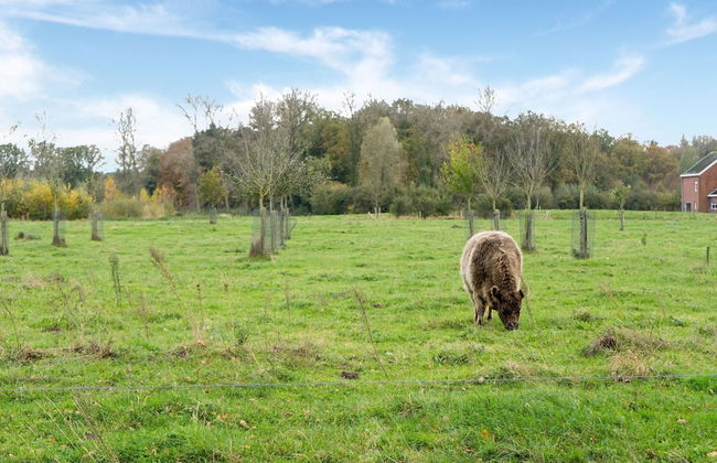 Tasteful Holiday Home in Loppem with Hot Tub - Foto 35