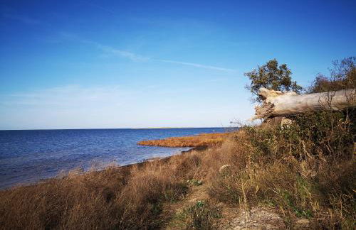 Familienfreundliches Ferienhaus Salzhaff-Urlaub - Foto 37