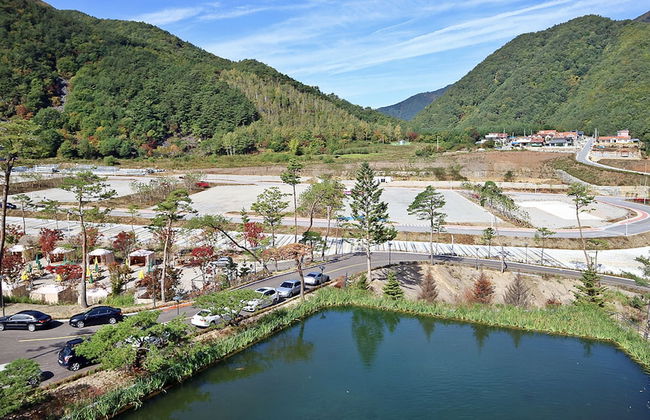 Pine Forest - Photo 10