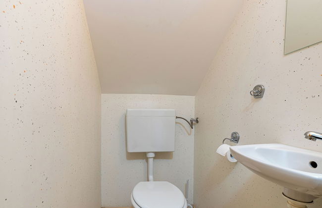 Forge Of Happiness - Foto 21