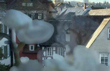 Gemütliches Altstadt-Nest am Säumarkt - Foto 9