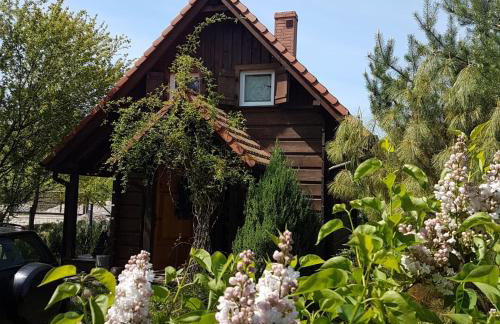 Jeżynowy Domek - Sulistrowice - Photo 17