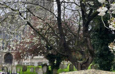 Loft in Bungay - Photo 31