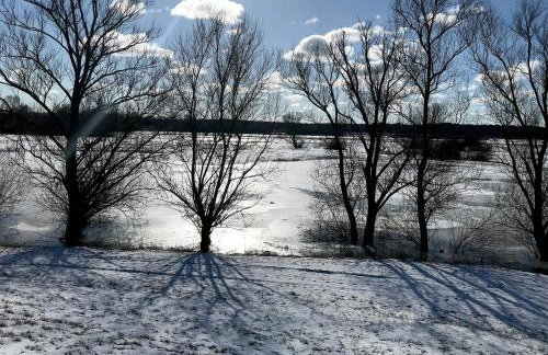 Timber House For Outdoors Fans By Elbe - Foto 31