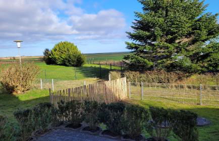 Ferienhaus Ringhuus - Foto 2