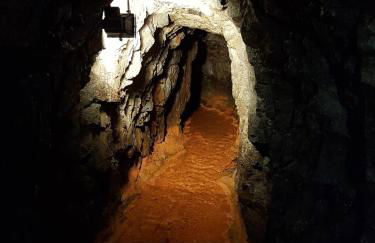 Ferienwohnung An der kleinen Schreinerei - Foto 32