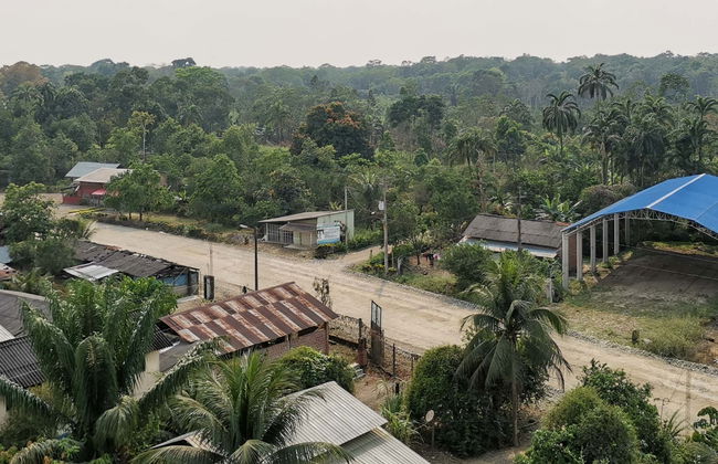 Excursión a Porvenir + Paseo en barco por el río Tahuamanu - Foto 1