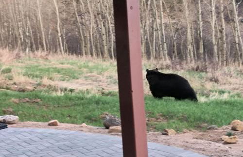 Meandering Moose Apartment Vacation Rental - Foto 37