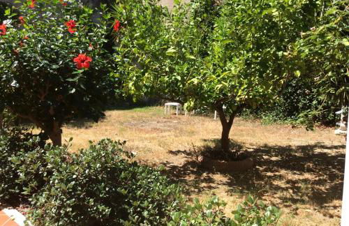 Villa Serena - Foto 19