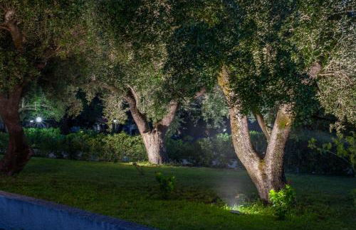 Casa Palinuro Vacanze fronte spiaggia - Photo 60