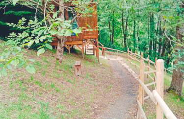 les gites axéens (l'Ours) - Foto 25