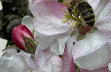 Ferienwohnungen JoJaSa - Foto 62