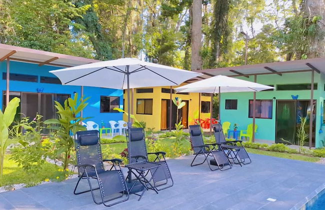 Caribbean Blue Morpho - Foto 26