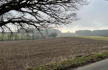 Kleine Eifelperle Gönnersdorf - Foto 40