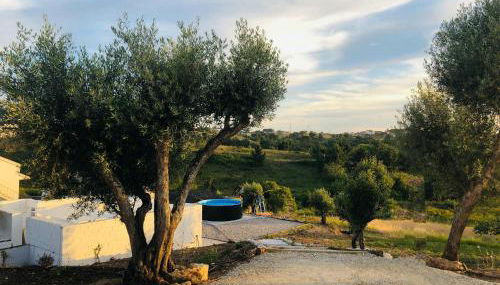 Casal Regina - Foto 4, Garden