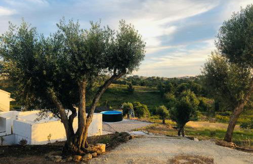 Casal Regina - Foto 4