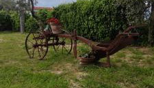 La Fattoria dei Desideri - Foto 5, Garden