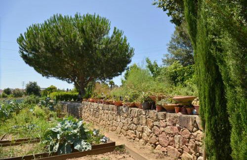 Abrigo do Moleiro - Foto 67