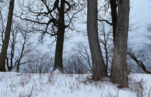 The Sanctuary at Deer Dune , Saugatuck - Foto 69