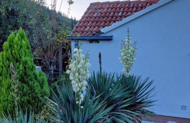 Holiday Home Kamenice - Photo 57