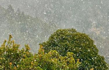 Kalavryta Villa Nano with fireplace and next the Ski Centre - Photo 4