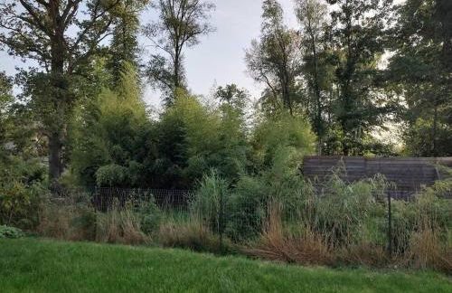 Gite des 2 chênes entre Avenue verte, Lacs, Piscine et Casino - Foto 21