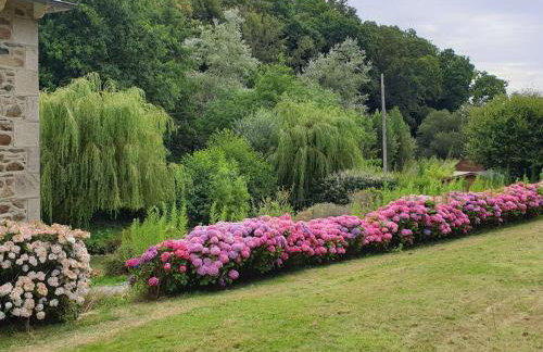 Maison rénovée pierre, jardin, WIFI, 400m mer, St Quay-Perros - FR-1-368-258 - Foto 19