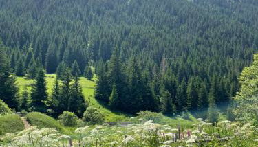 T2 vue sur le parc de la vanoise - Foto 4
