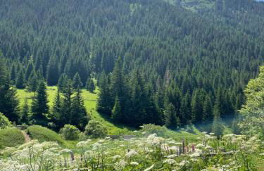 T2 vue sur le parc de la vanoise - Foto 4