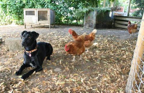 Schönhaar Schwenden 2 - Photo 25