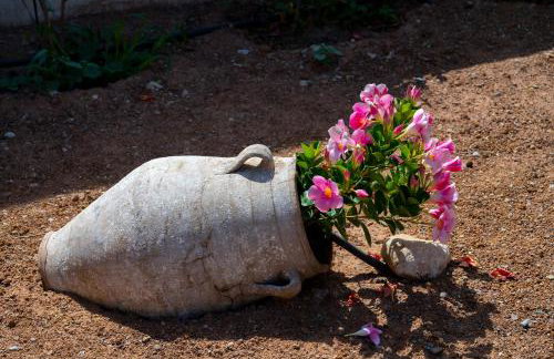 Amalthea House 2 - Foto 21