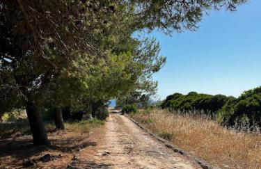 Casa Matilde a pochi passi dal mare - Foto 30