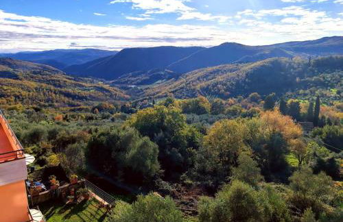 Firenze 30 min panoramico - park free - Foto 24