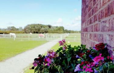 Strawberry Fields - Foto 16