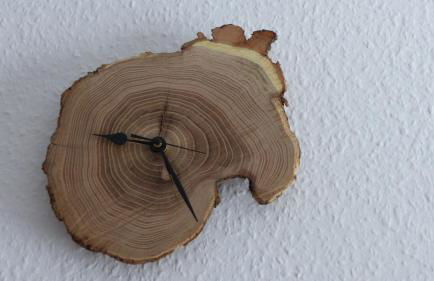 Amselgarten - Foto 24