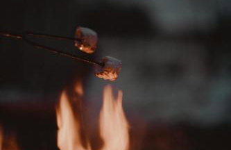 Dziki Las - domki na drzewach - Foto 61