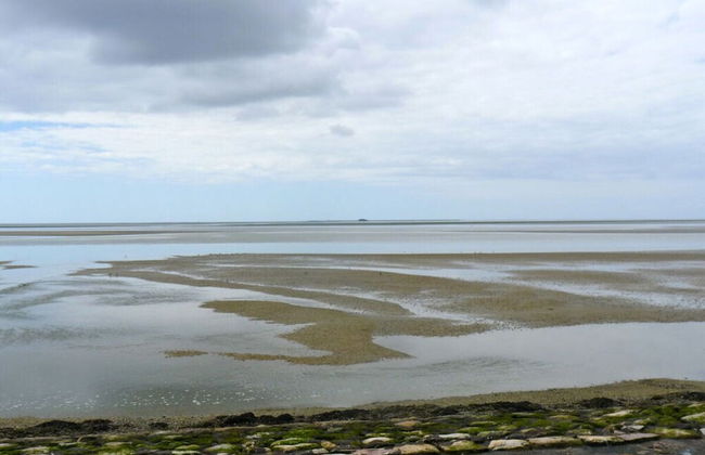 Holiday Apartment Stork's Nest - Foto 32