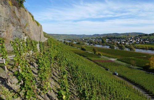 Weingut Harald Ludwig - Foto 42