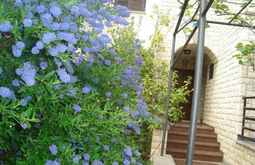 Apartments Sasha - Foto 42