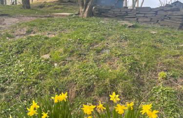 Ty Bach Twt, Coity Bach - Foto 8