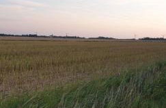 Ferienhaus Hoddebüll nah an der Nordsee - Foto 60