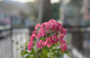 Gellis Village house Meteora - Foto 11