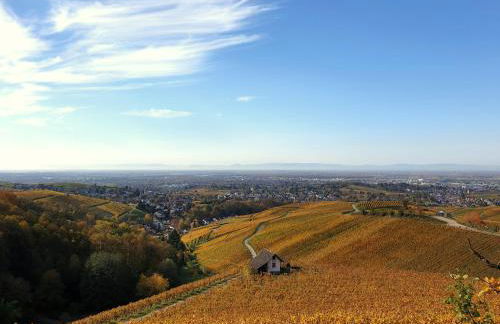 Studio-Apartment mit Garten, Parkplatz & Küche - Foto 17