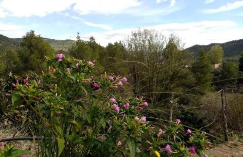 El Cubo de Sebastián - Foto 8