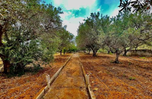 Villa sul mare Palazzolo - Photo 31