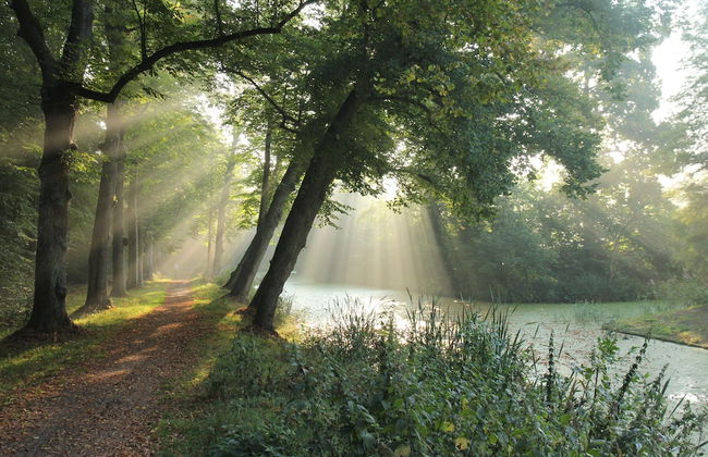 Unique Studio on Large Estate With sea View - Photo 24