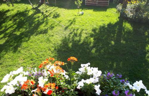 Ferienwohnungen Herbst - Photo 12